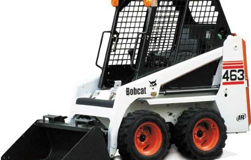 Bobcat
