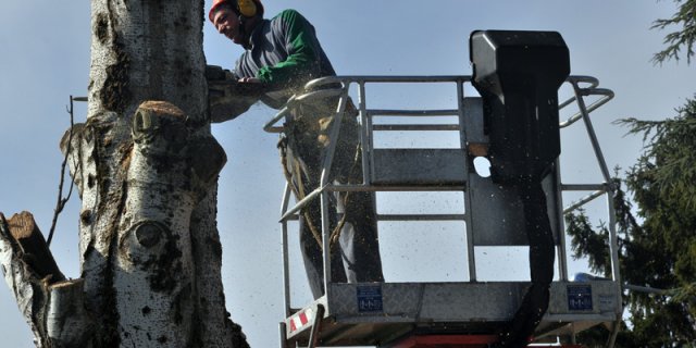 Manutenzione
